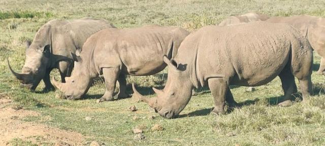Best 9 Tanzania Safari Tour Packages Now